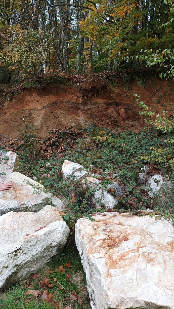 Sortie Géologique, le marbre blanc du Morvan