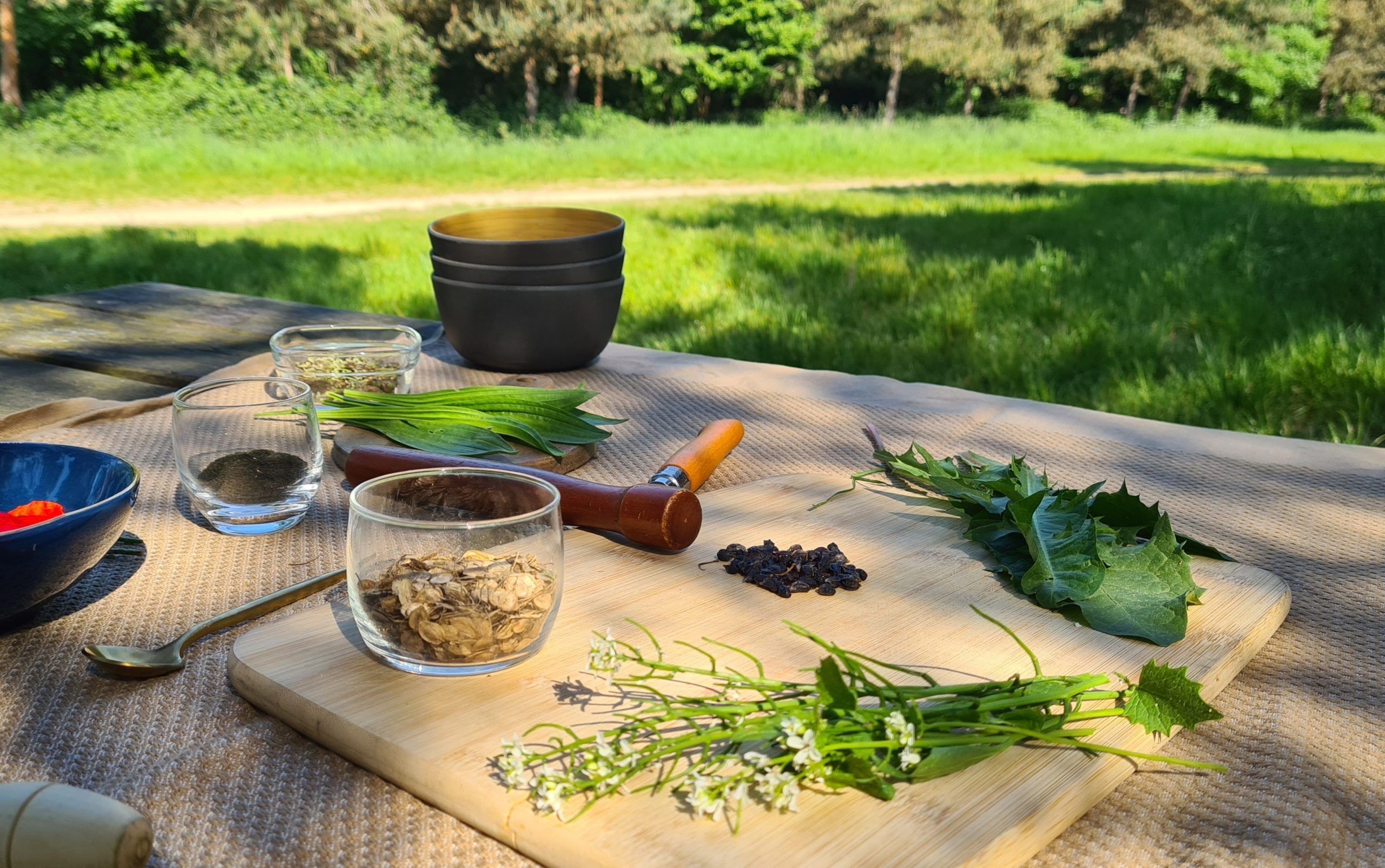 Balade découverte et cuisine des plantes sauvages – Bois de Vincennes