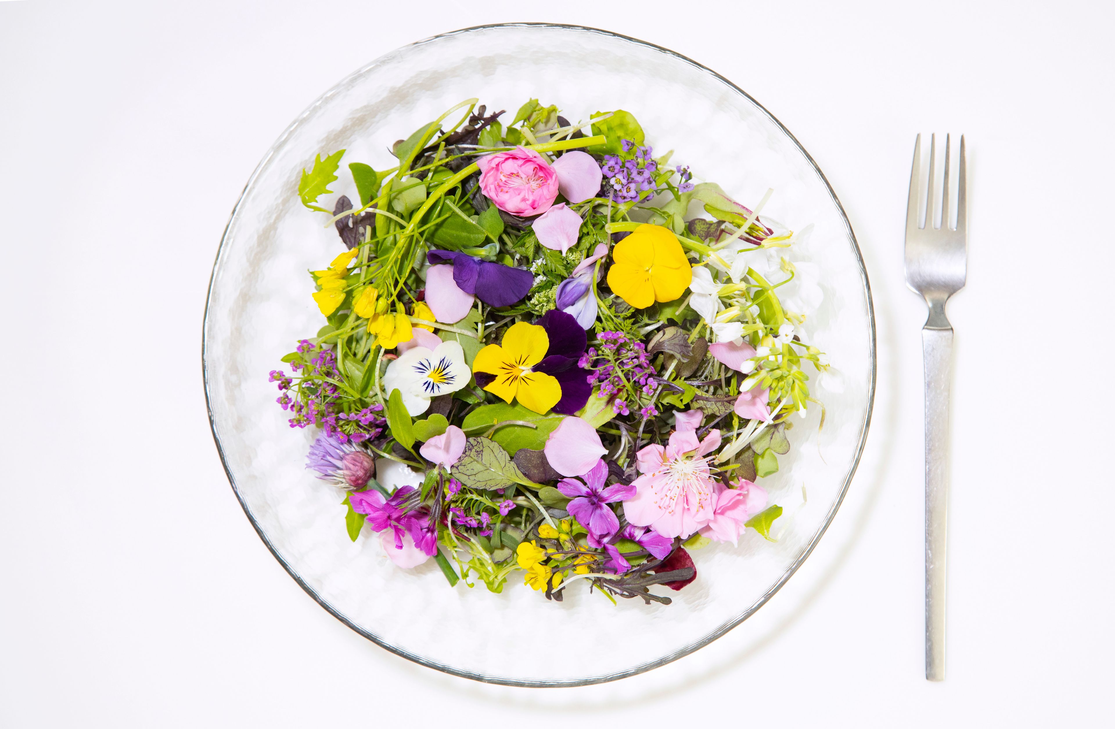 Soirée au jardin