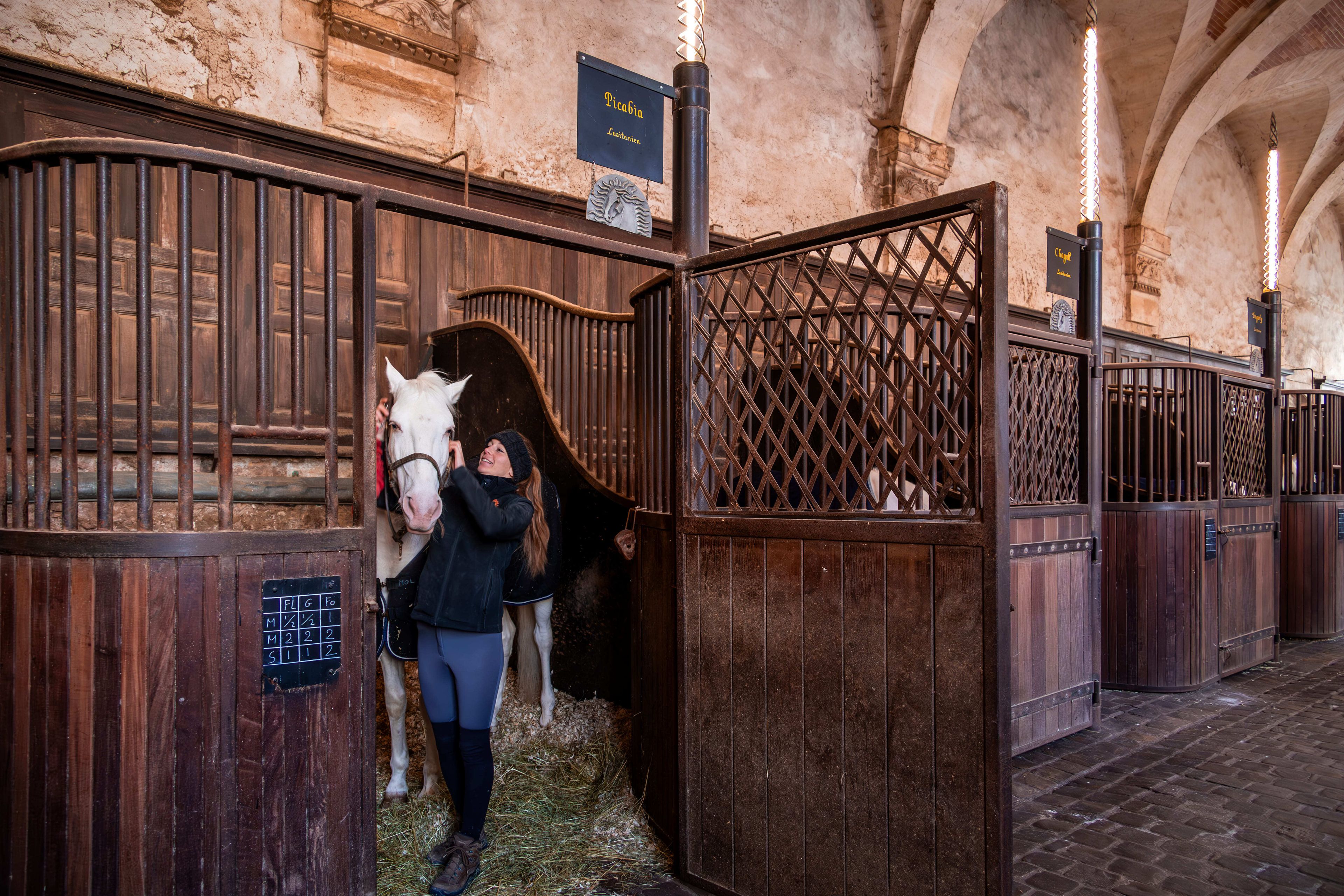 Dans les coulisses de l'Académie équestre (visite guidée)