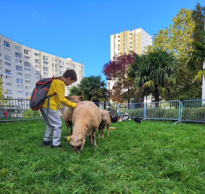 La ferme s'invite au quartier