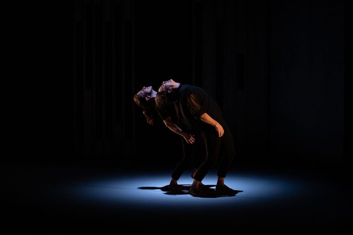 4e MUR (OU L'APPARITION D'UN SPECTACLE)