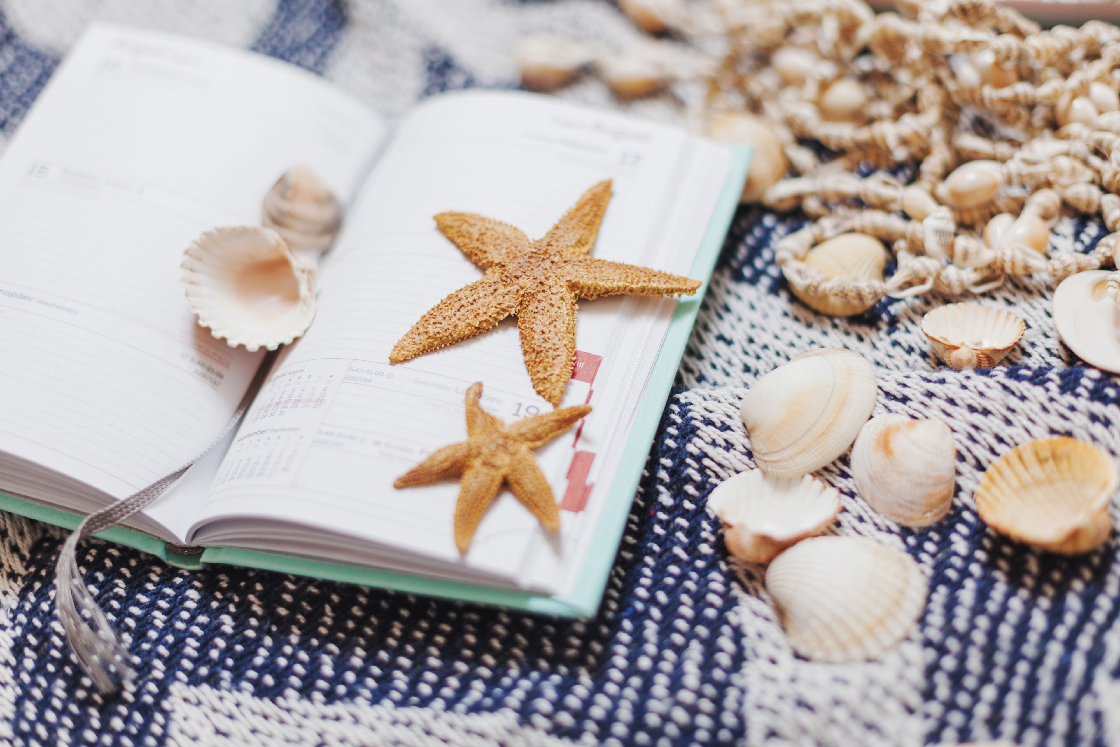 lectures et atelier "à la mer"