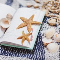 lectures et atelier "à la mer"