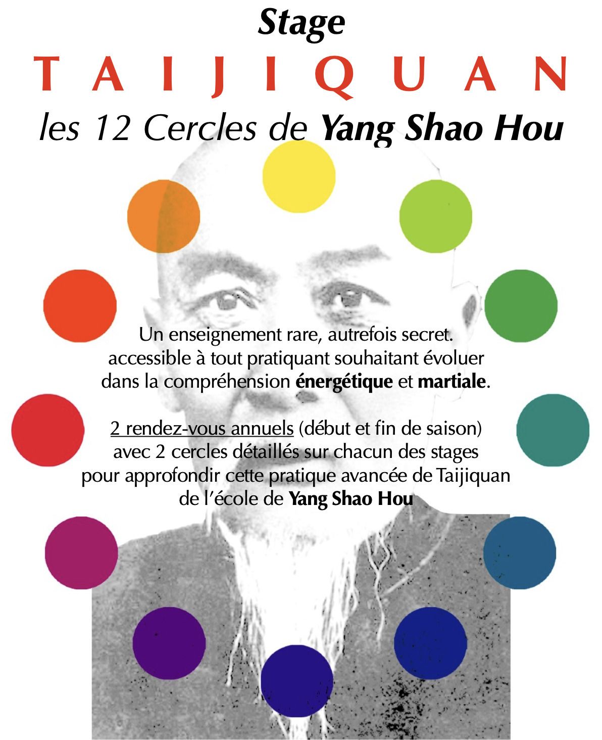Stage de Taijiquan (Tai Chi Chuan) Martial & Santé