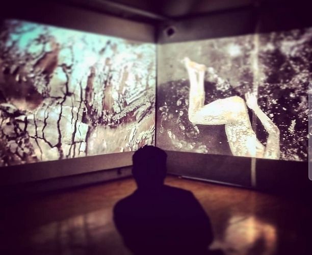 Projection Vanitas Trilogy, Agustina Sario & Matthieu Perpoint