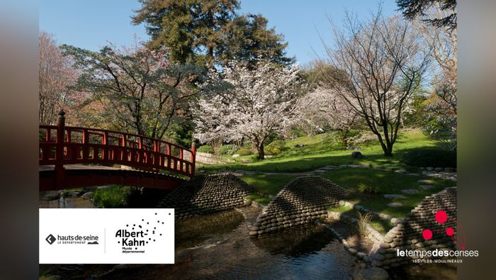 Passion Japon