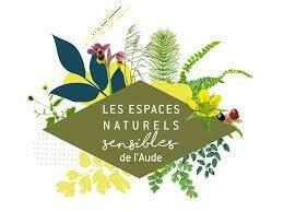 Et si l’on créait un salin en argile ?