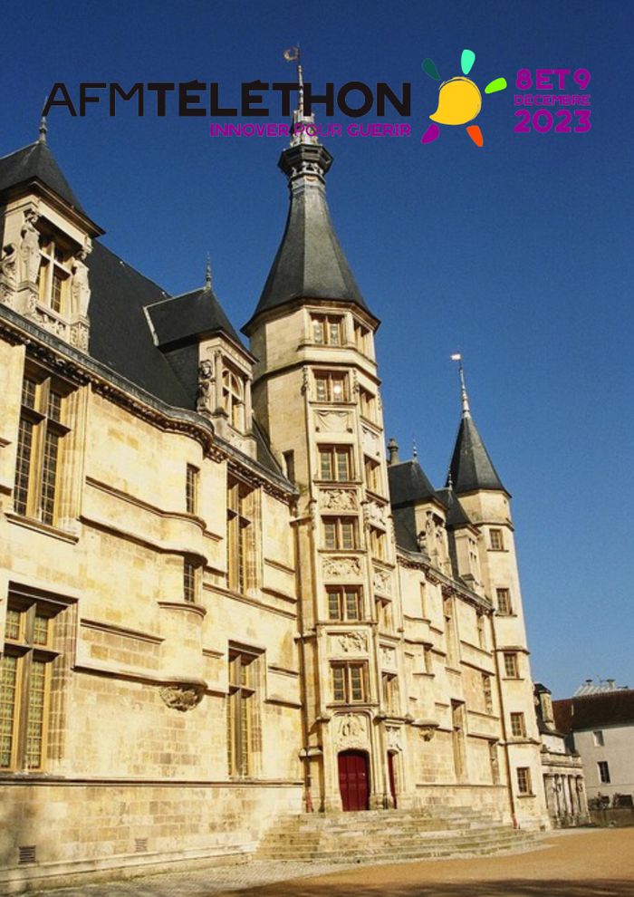 Le patrimoine au Téléthon