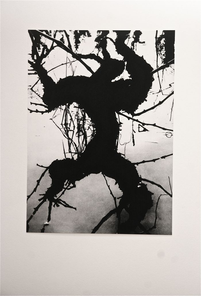 Exposition "La Camargue, un autre monde"