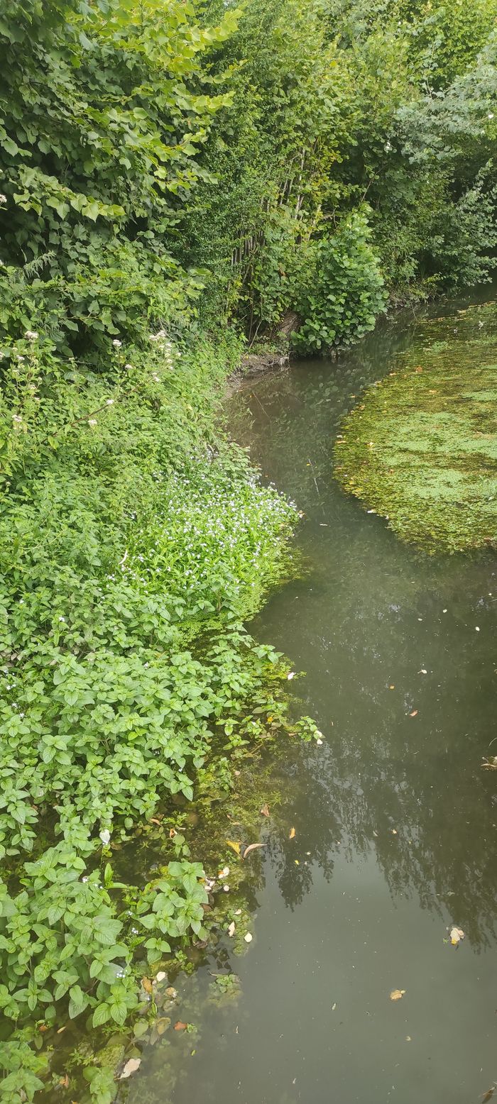 L'eau: un patrimoine précieux à préserver