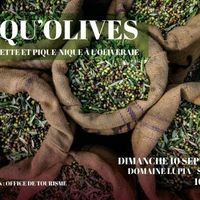 Piqu'olives: cueillette et pique-nique à l'oliveraie