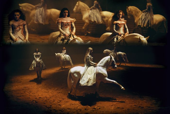 Exposition de photographie "Zingaro" au Pôle international de sports équestres