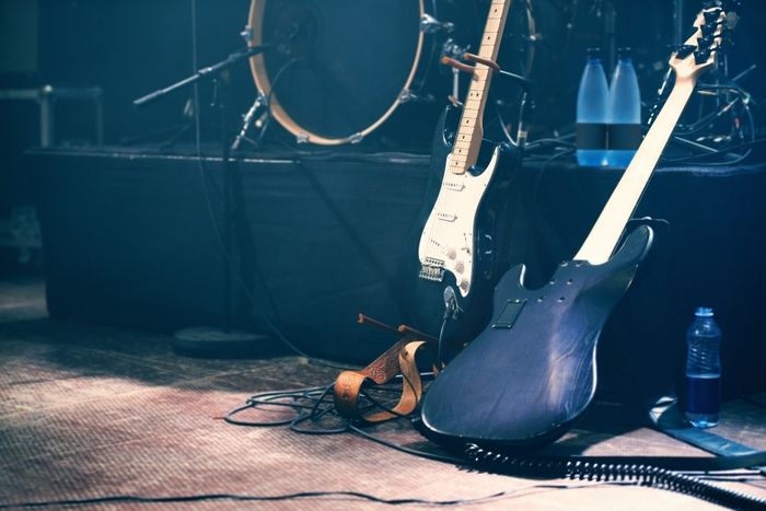 LES VIOLETTES FETENT LA MUSIQUE