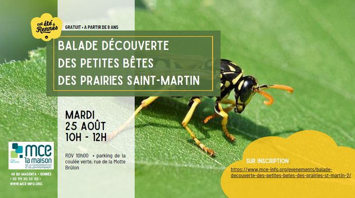 Visuel de l'événement Balade découverte des petites bêtes des prairies Saint-Martin