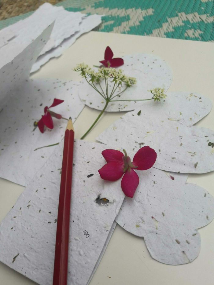 Création de papier ensemencé