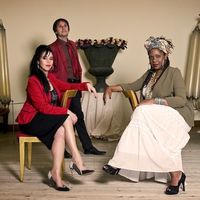 Les grands crus classiques - Acoustic Trova Project Quartet