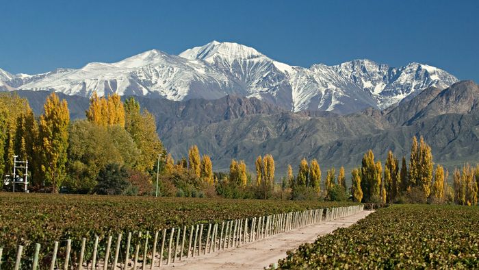 Afterwork Spécial vins d’Amérique du Sud