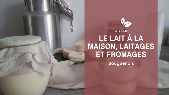 Le lait à la maison, laitage et fromage