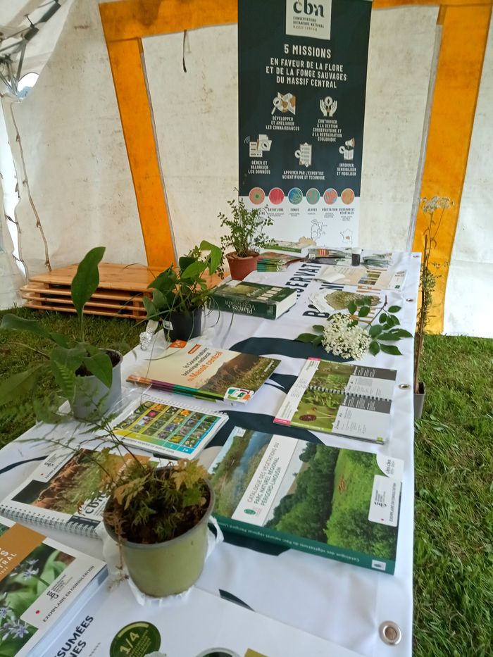 Stand : Les plantes sauvages et locales