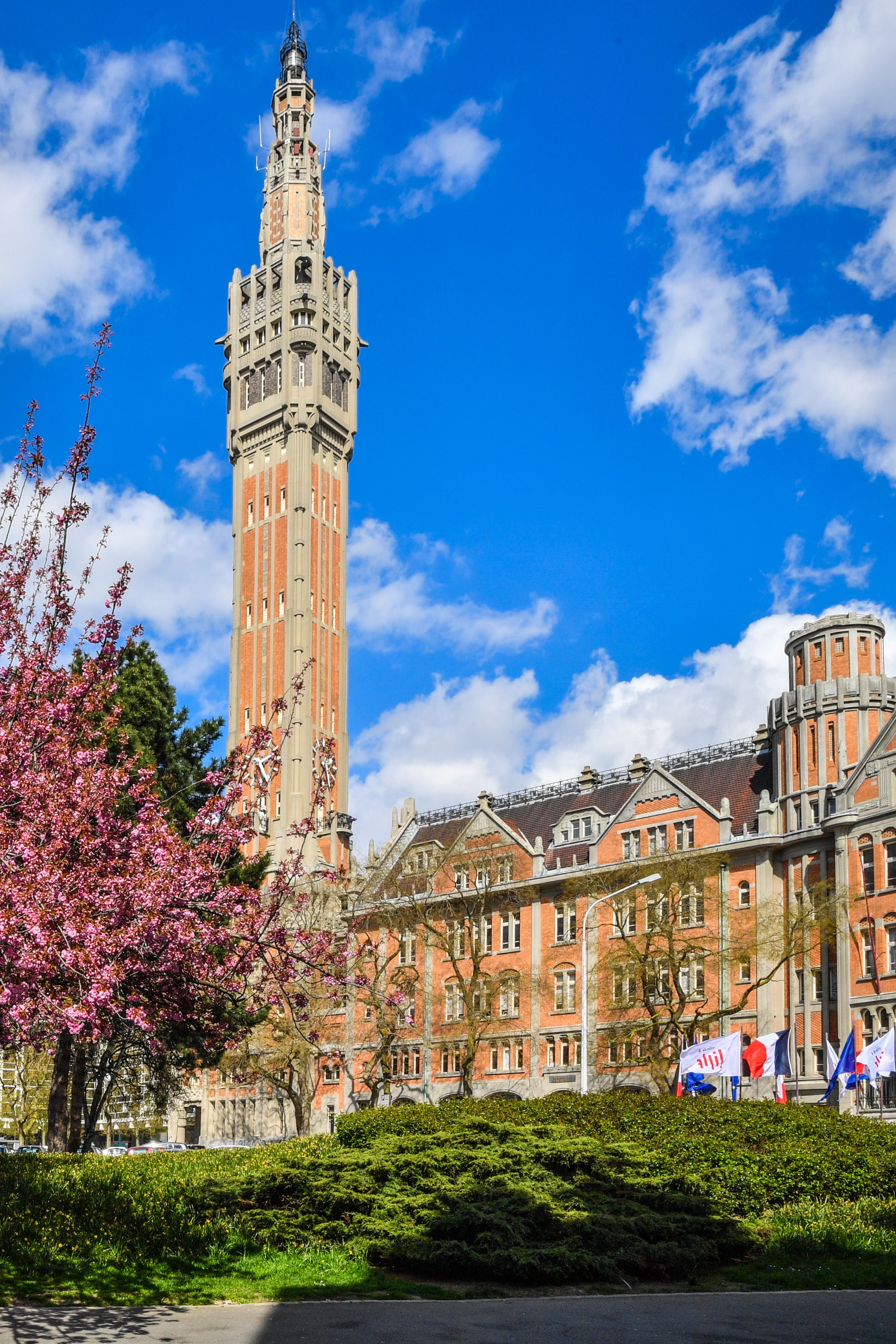 Portes ouvertes à l'Hôtel de Ville : Focus sur les jeunes publics
