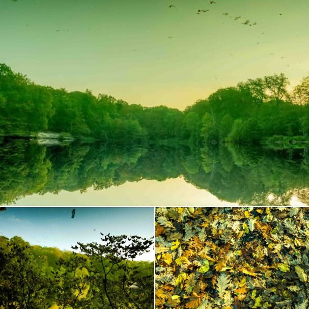 Automne aux lacs