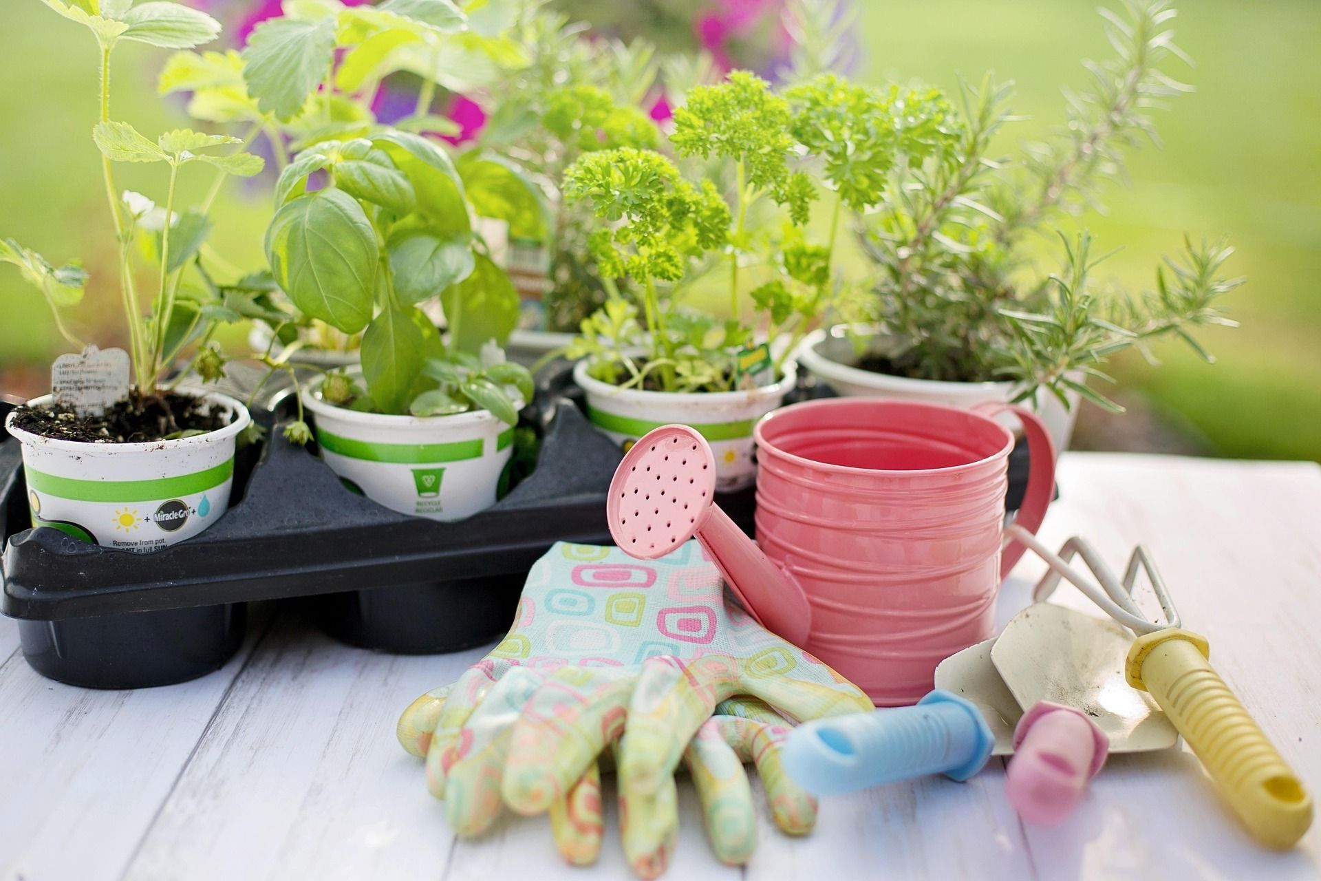 Atelier des Tout- Petits