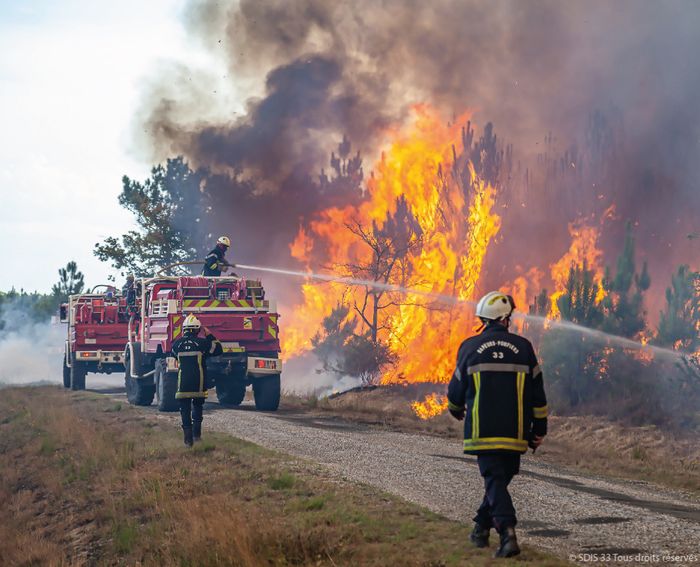 Exposition : Forêt et incendies en Sud Gironde