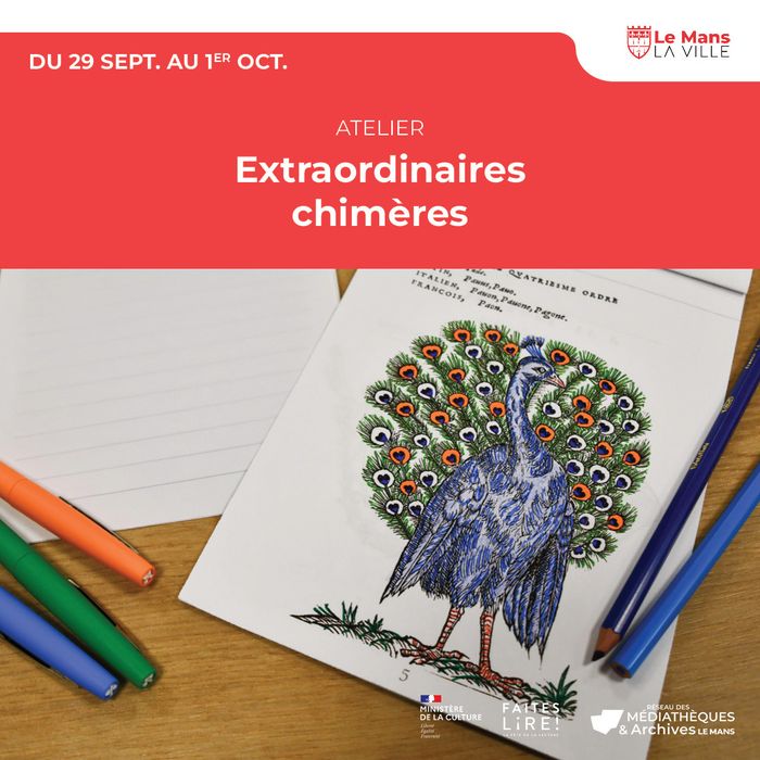 Extraordinaires chimères