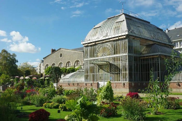 Explorez la serre tropicale humide du Jardin des Plantes avec vos pinceaux !