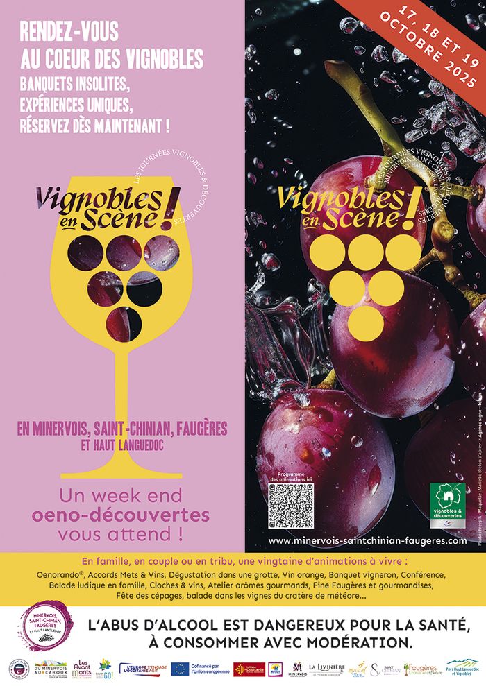 Vignobles en scène - Immersion vinicole et art de l'assemblage gourmand