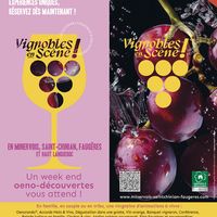 Vignobles en scène - Immersion vinicole et art de l'assemblage gourmand