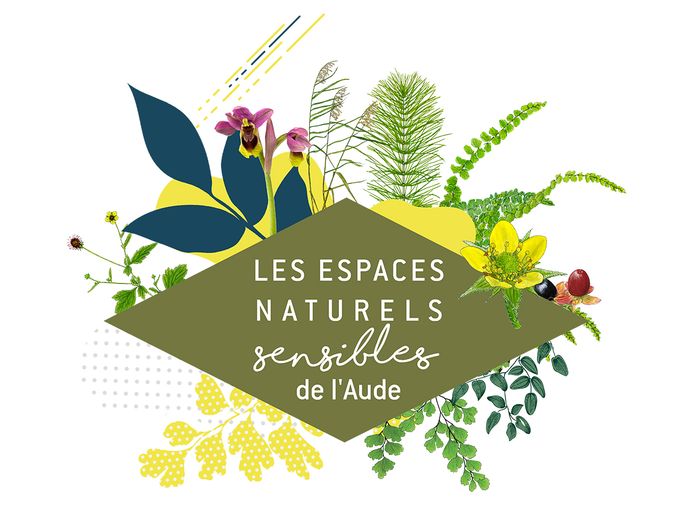 ENS - L'île de Sainte-Lucie