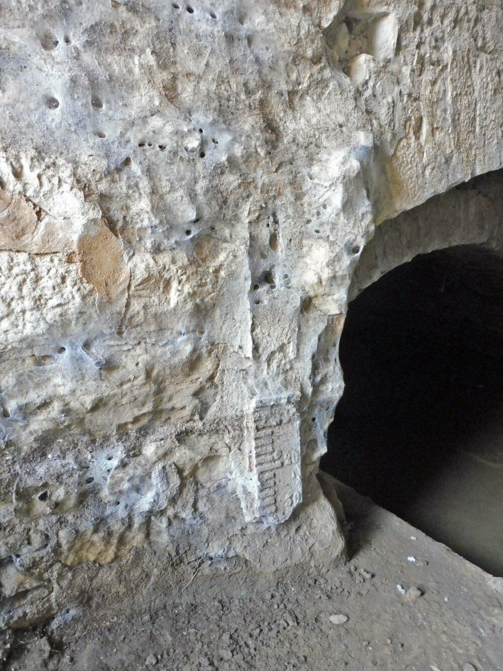 Visite guidée « Le Médasson de Cluny, le bien-nommé »
