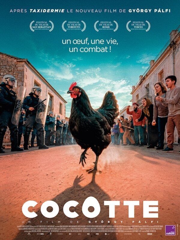 Affiche — 🌍🐔SOIRÉE GRECQUE ★ COCOTTE • PRESENTATION + REPAS MUSICAL
