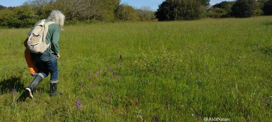 Les orchidées des Terres Rouges