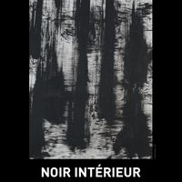 Noir Intérieur par Michel Domerg