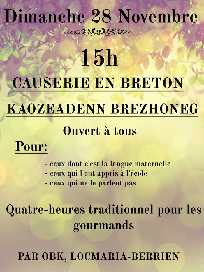 Causerie en breton à Locmaria-Berrien