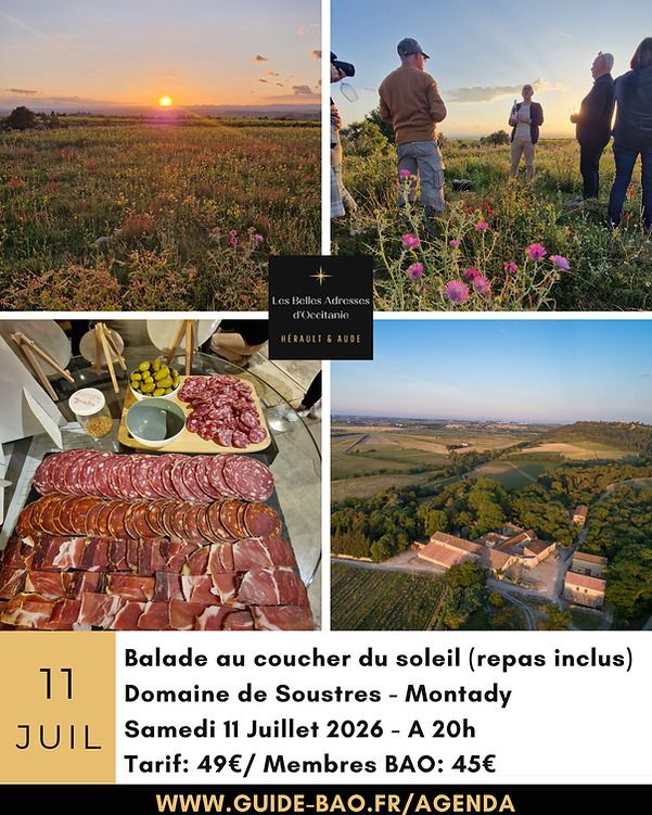 Balade & repas au coucher du soleil