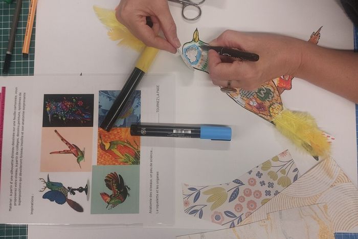 Anatomie d'un oiseau imaginaire