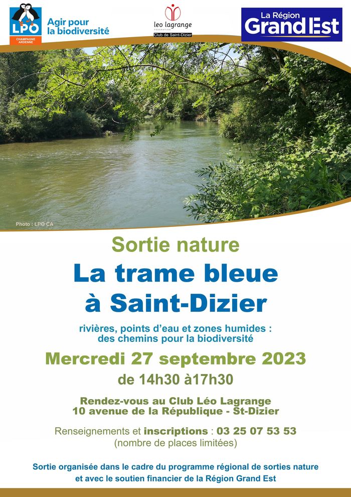Sortie: la trame bleue