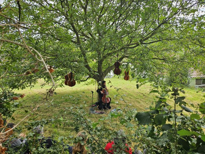 Pause nature au fil de l'eau : balades musicales