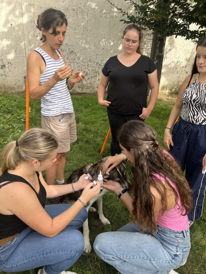 Venez découvrir notre MFR, nos formations, échanger avec nos enseignants et envisager votre futur parcours professionnel avec nous !
