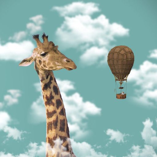 Gimp : découverte du logiciel libre de dessin.