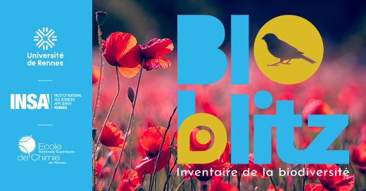 Inventaire participatif éclair de la biodiversité du campus de Beaulieu