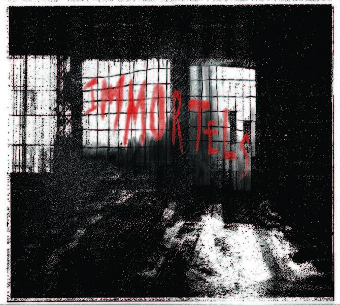 (théâtre) IMMORTELS de Nasser Djémaï