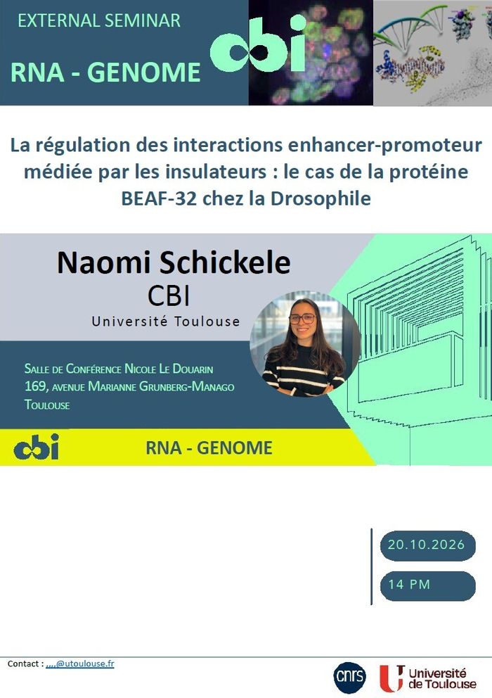 La régulation des interactions enhancer-promoteur médiée par les insulateurs: le cas de la protéine BEAF-32 chez la Drosophile