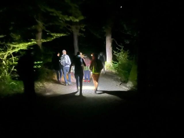 Balade nocturne dans la nature