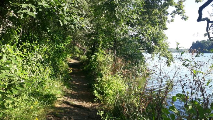 Ma pause nature après le boulot: #7 Les berges de la Sèvre aux abords de Pirmil
