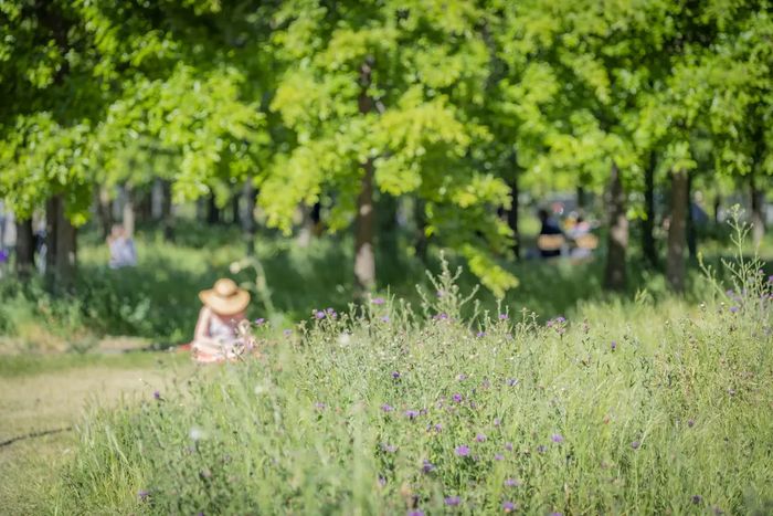 Bordeaux Rive droite, du jardin botanique à la caserne Niel